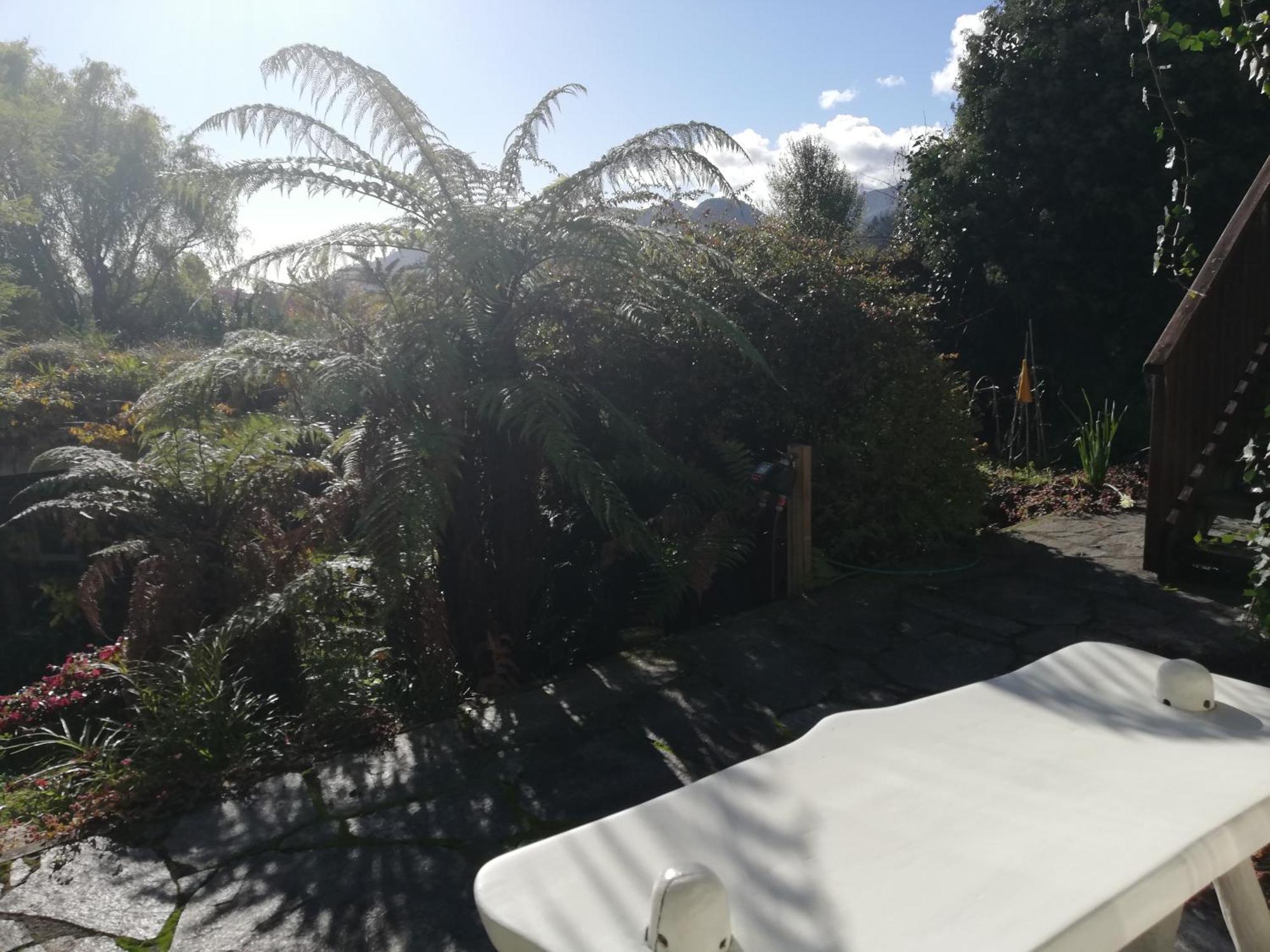 Joya Garden & Villa Studios Nelson Exteriör bild